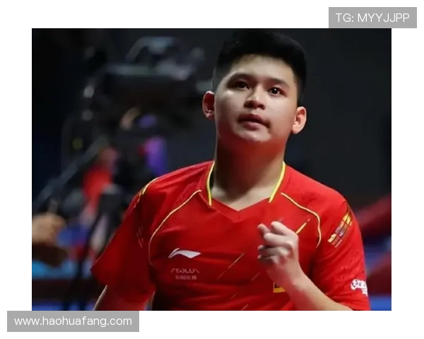 林诗栋世界杯退赛肩袖伤复发